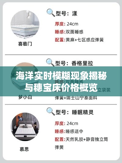 海洋实时模糊现象揭秘与穗宝床价格概览