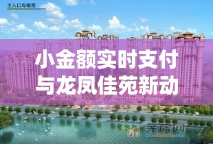 小金额实时支付与龙凤佳苑新动态,抢先看,精彩不容错过!