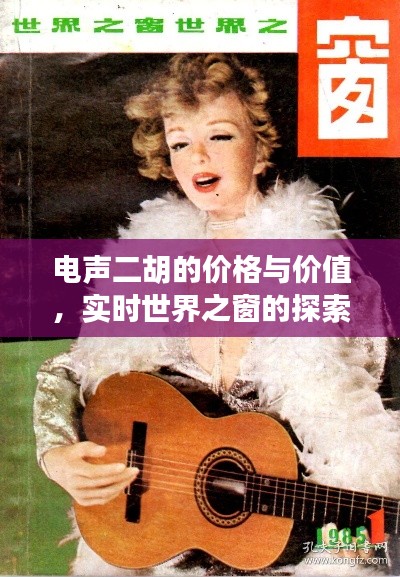 电声二胡的价格与价值,实时世界之窗的探索之旅