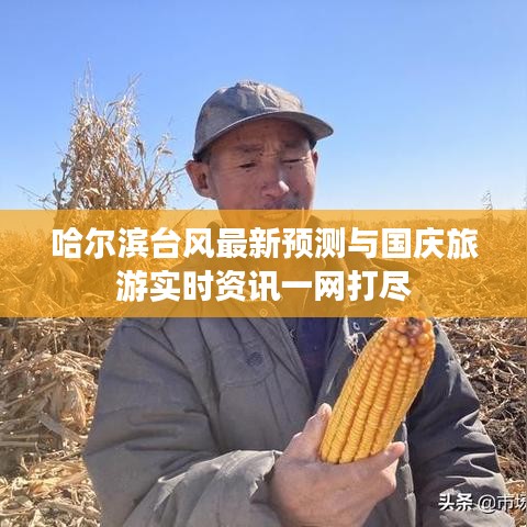 哈尔滨台风最新预测与国庆旅游实时资讯一网打尽