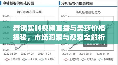 舞钢实时视频直播与美莎价格揭秘，市场洞察与观察全解析