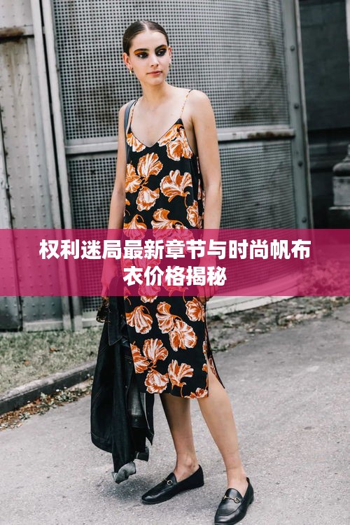 权利迷局最新章节与时尚帆布衣价格揭秘