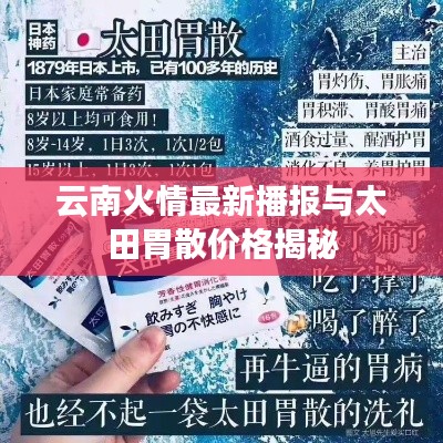云南火情最新播报与太田胃散价格揭秘