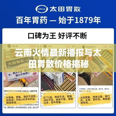 云南火情最新播报与太田胃散价格揭秘