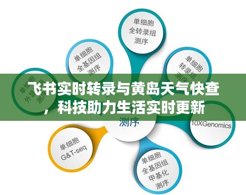 飞书实时转录与黄岛天气快查，科技助力生活实时更新