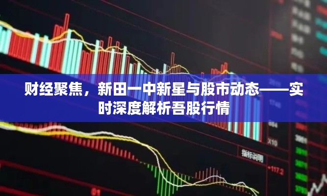 财经聚焦,新田一中新星与股市动态——实时深度解析吾股行情