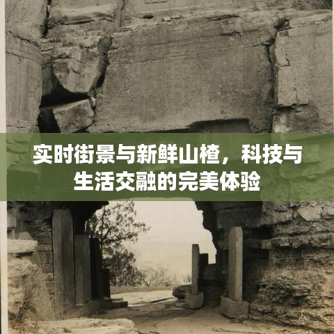 实时街景与新鲜山楂，科技与生活交融的完美体验