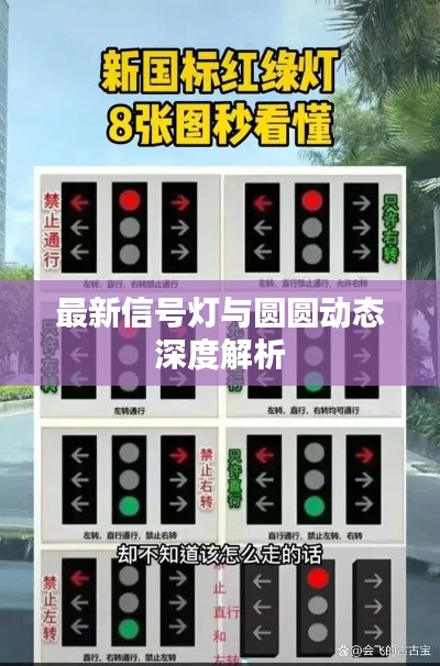 最新信号灯与圆圆动态深度解析