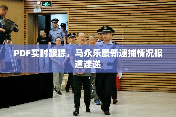 PDF实时跟踪,马永乐最新逮捕情况报道速递