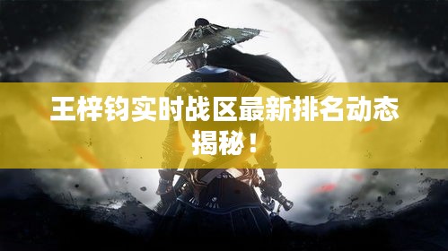 王梓钧实时战区最新排名动态揭秘！