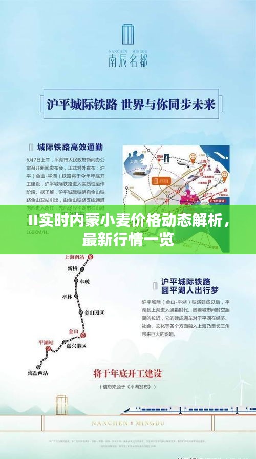 II实时内蒙小麦价格动态解析,最新行情一览