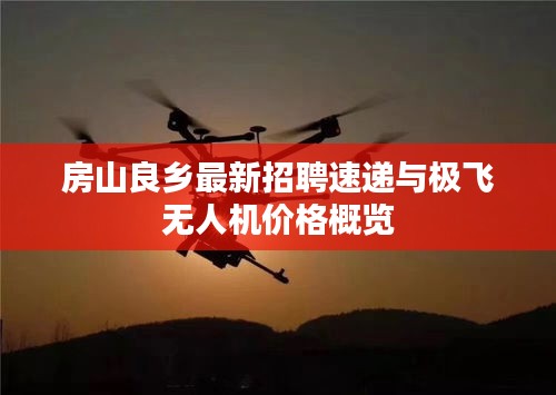 房山良乡最新招聘速递与极飞无人机价格概览