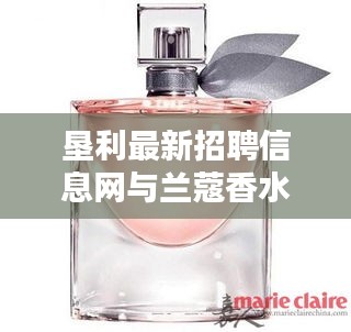 网站案例 第46页