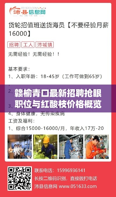 赣榆青口最新招聘抢眼职位与红酸枝价格概览