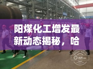 阳煤化工增发最新动态揭秘，哈尔滨实时视频观察展现新进展