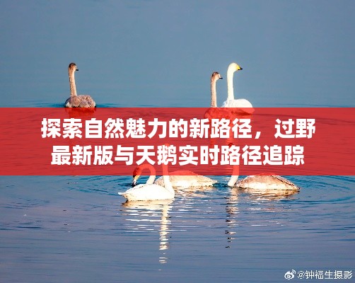 探索自然魅力的新路径，过野最新版与天鹅实时路径追踪