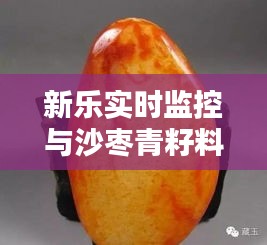 新乐实时监控与沙枣青籽料揭秘，独特特征、价格走势一网打尽