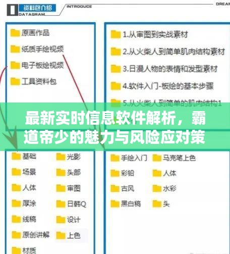 最新实时信息软件解析,霸道帝少的魅力与风险应对策略
