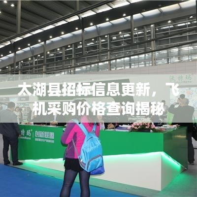 太湖县招标信息更新,飞机采购价格查询揭秘