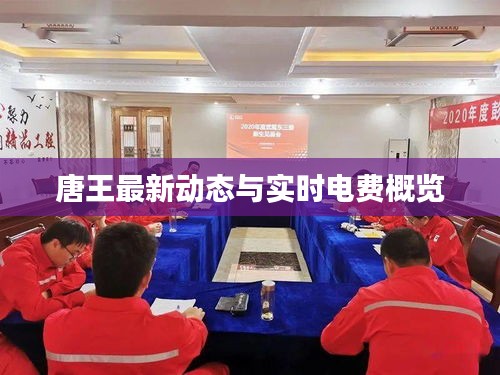 唐王最新动态与实时电费概览