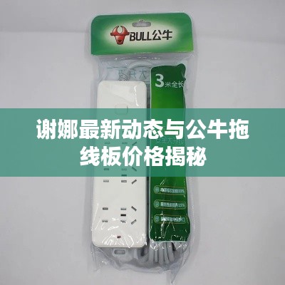 谢娜最新动态与公牛拖线板价格揭秘