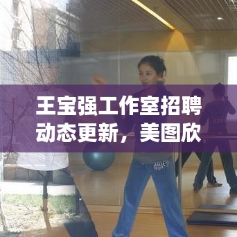 王宝强工作室招聘动态更新,美图欣赏与最新职位招募