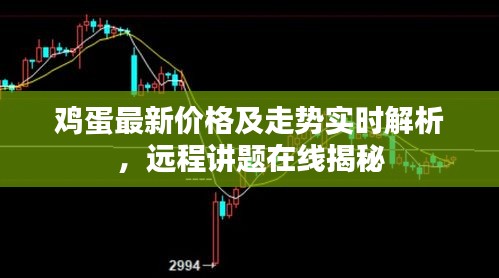 鸡蛋最新价格及走势实时解析,远程讲题在线揭秘