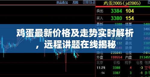 鸡蛋最新价格及走势实时解析,远程讲题在线揭秘