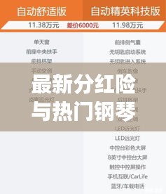 最新分红险与热门钢琴品牌指南，全方位解读及价格参考