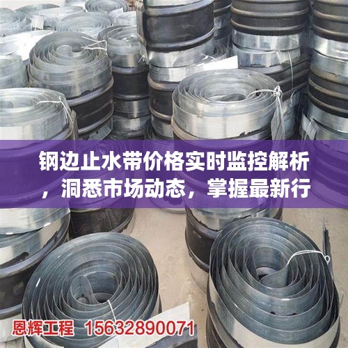 钢边止水带价格实时监控解析,洞悉市场动态,掌握最新行情!