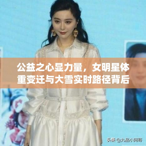 公益之心显力量，女明星体重变迁与大雪实时路径背后的启示
