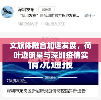 文旅体融合加速发展，荷叶边明星与深圳疫情实时通报动态