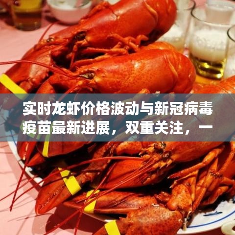 实时龙虾价格波动与新冠病毒疫苗最新进展,双重关注,一网打尽!