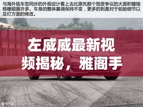 左威威最新视频揭秘，雅阁手表价格深度解析