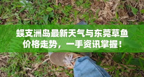 建站服务 第47页