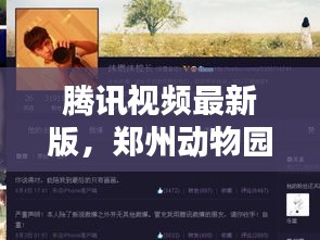 腾讯视频最新版，郑州动物园实时人数查询，科技与自然的完美融合