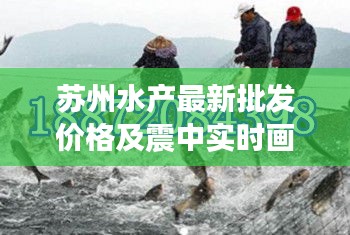 资料下载 第43页