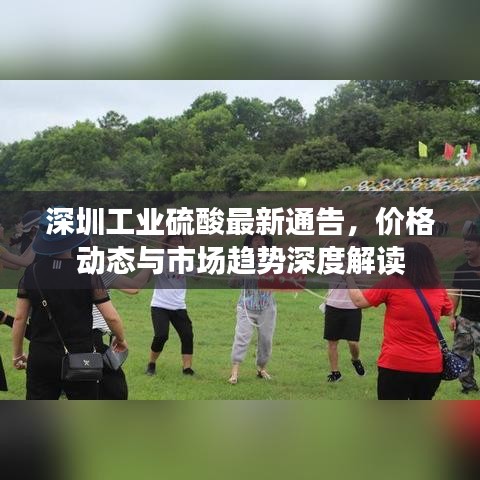 深圳工业硫酸最新通告,价格动态与市场趋势深度解读