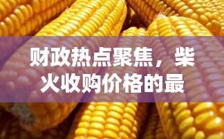 财政热点聚焦,柴火收购价格的最新动态分析