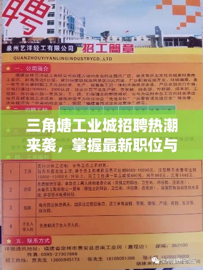 三角塘工业城招聘热潮来袭,掌握最新职位与实时编程软件动态