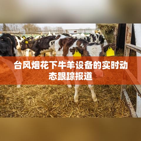 台风烟花下牛羊设备的实时动态跟踪报道