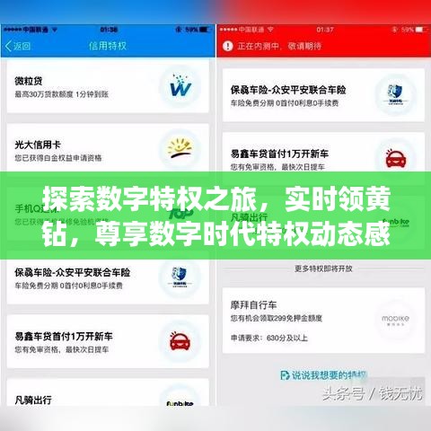 探索数字特权之旅,实时领黄钻,尊享数字时代特权动态感知