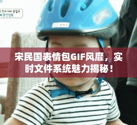 宋民国表情包GIF风靡,实时文件系统魅力揭秘!
