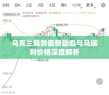 乌克兰局势最新动态与马瑞利价格深度解析