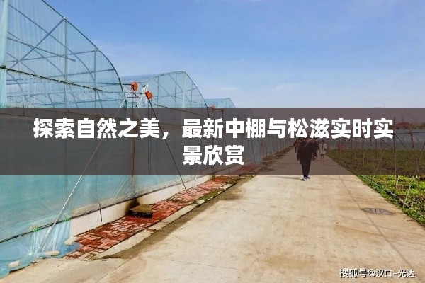 探索自然之美,最新中棚与松滋实时实景欣赏