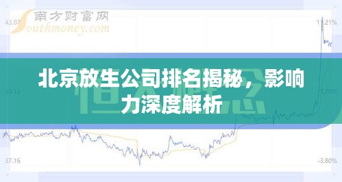 北京放生公司排名揭秘,影响力深度解析