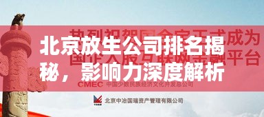 北京放生公司排名揭秘,影响力深度解析