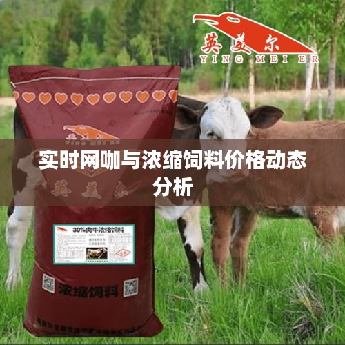 实时网咖与浓缩饲料价格动态分析