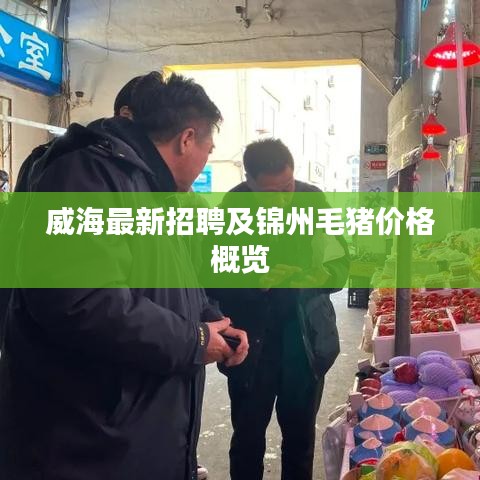 网站案例 第38页