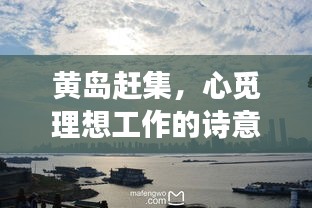 黄岛赶集，心觅理想工作的诗意旅程